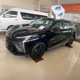 New Dongfeng Forthing T5