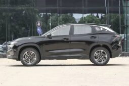 
										New 2026 Jetour Dasheng full									