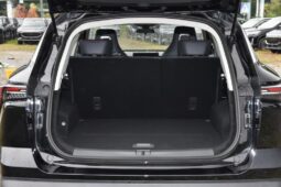 
										New 2022 Jetour Dashing full									