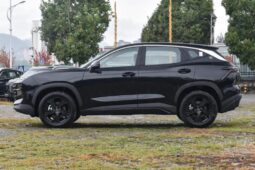 
										New 2022 Jetour Dashing full									