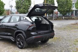 
										New 2022 Jetour Dashing full									