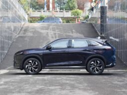 
										New 2025 Kaiyi X7 full									