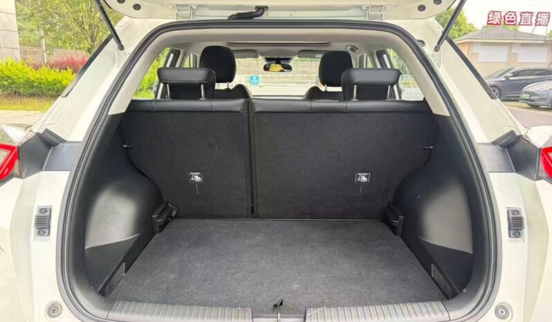 
								GAC GS3 EMZOOM full									