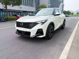 GAC GS3 EMZOOM