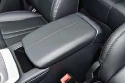 
										GAC GS3 Trumpchi EMZOOM full									