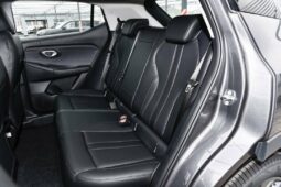 
										GAC GS3 Trumpchi EMZOOM full									