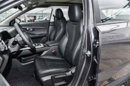 
										GAC GS3 Trumpchi EMZOOM full									