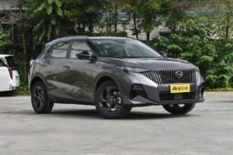 
										GAC GS3 Trumpchi EMZOOM full									