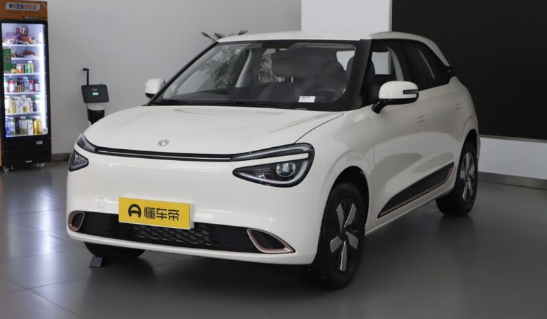 
Dongfeng Nami Box 01 full									