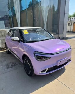 
Dongfeng Nami Box 01 full									