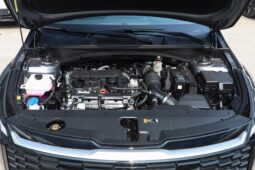 
Kia Sportage full									