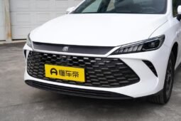 BYD Qin PLUS DM-i full